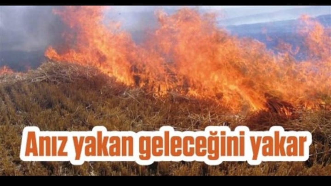 TOPTAK YANIYOR: ANIZ YANGINLARI TARIM VE DOĞAYI TEHDİT EDİYOR